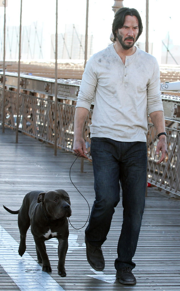 Omg Keanu Reeves Es Un Súper Héroe En La Vida Real Y Uno Muy